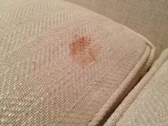 Yacht upholstery stain assessment in Sardinia